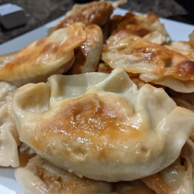 #gyoza